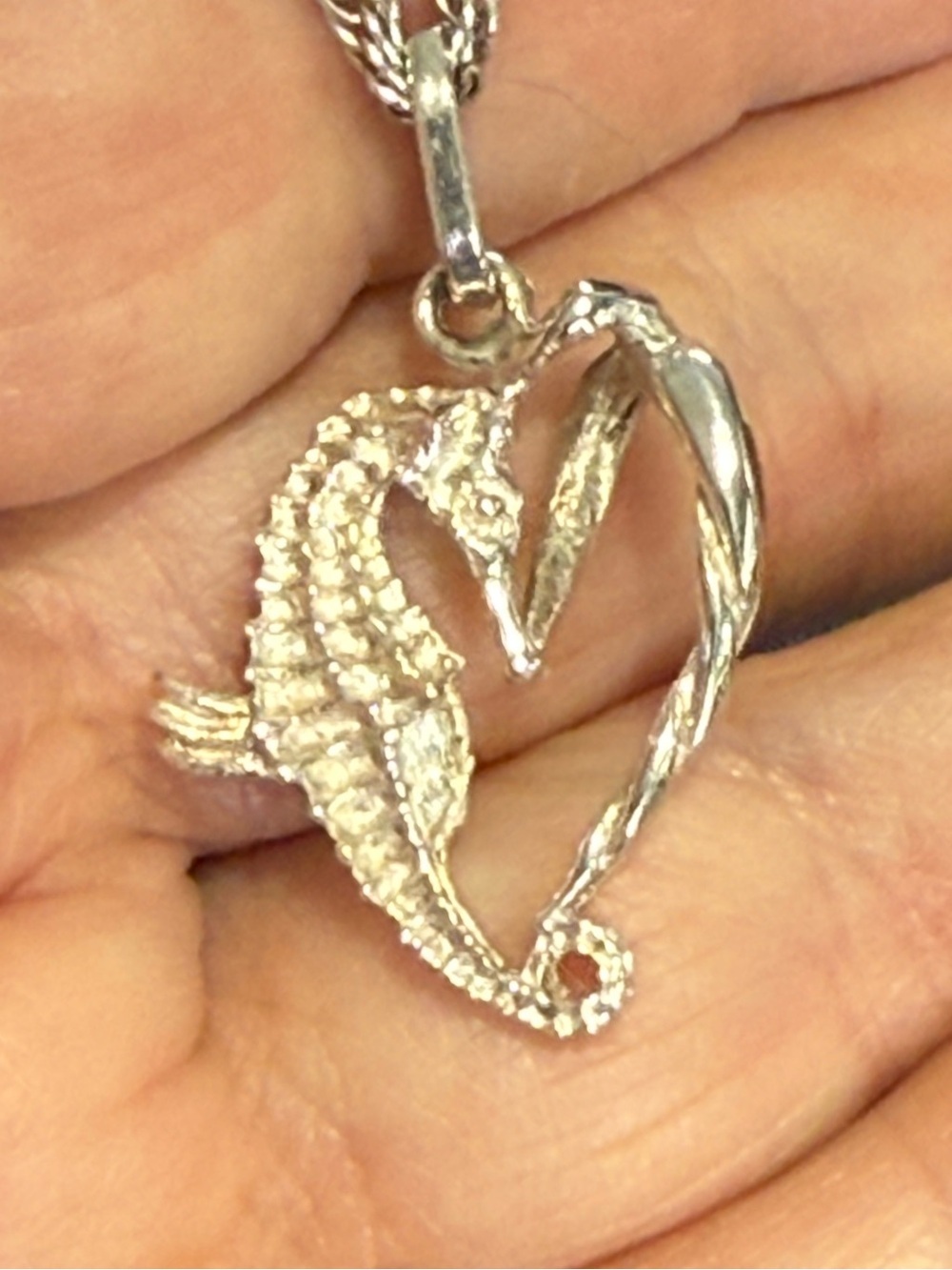 925 Sterling Seahorse Pendant on a 18” Sterling Rope Chain.
